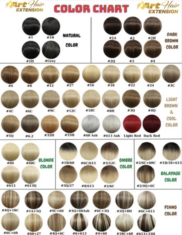Russian Weft Hair Extension-colo-chart